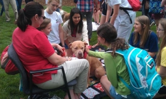 group of students gathered around a tan dog