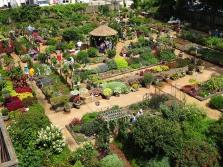 aerial view of the Trial Gardens