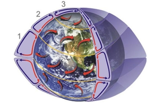 graphic of global circulation