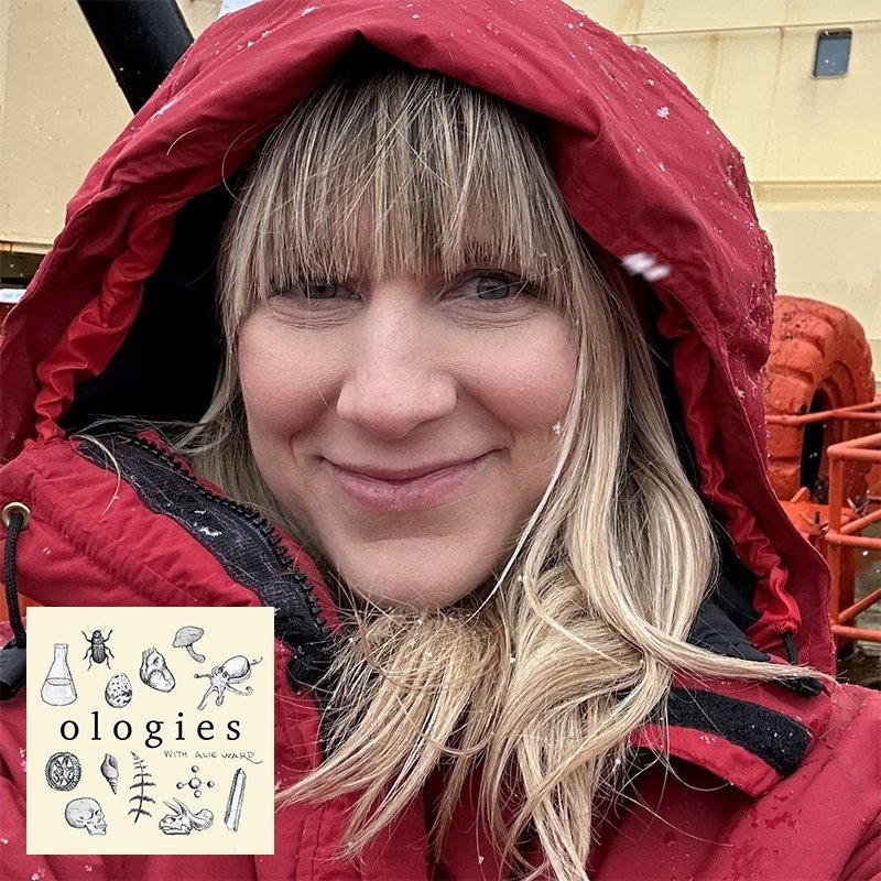 Dr. Holly Bik, featured on the Ologies podcast