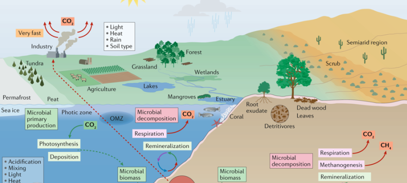 color figure illustration of land, sea and sky, with labels