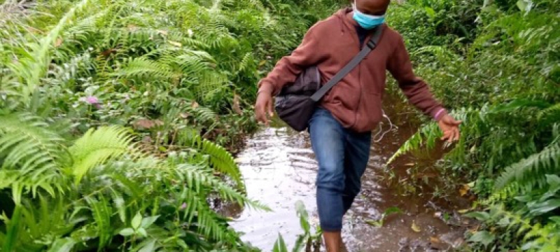 photo of man walking next to small river, with plants 