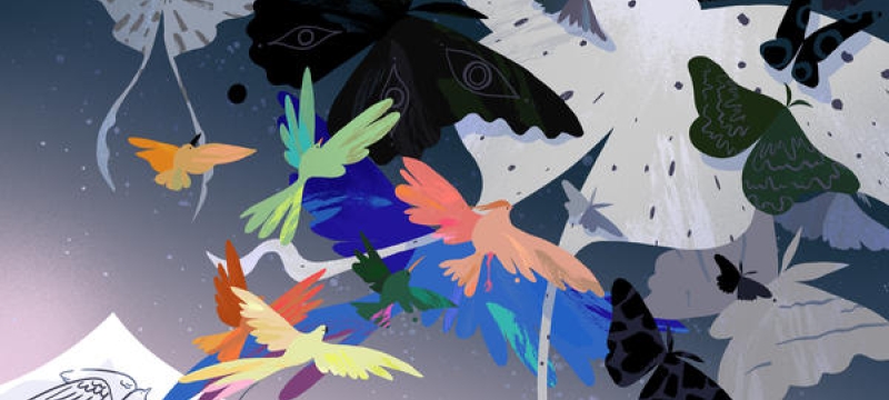 graphic with colorfully drawn birds and paper