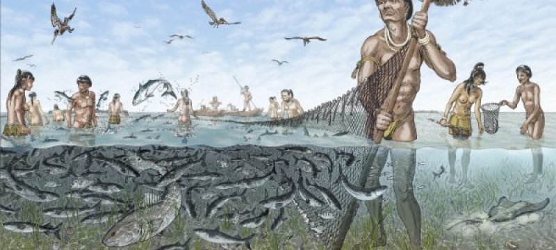 illustration of people fishing with a large net