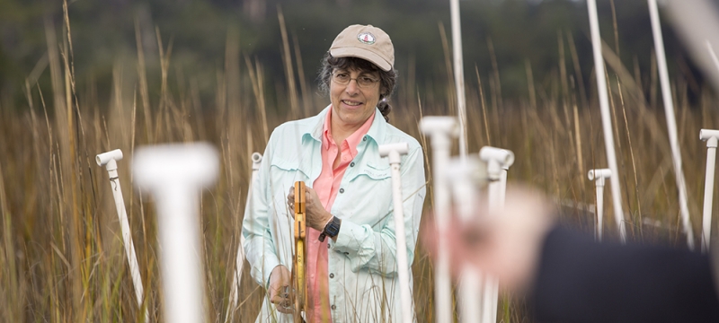photo of woman in marsh with instruments