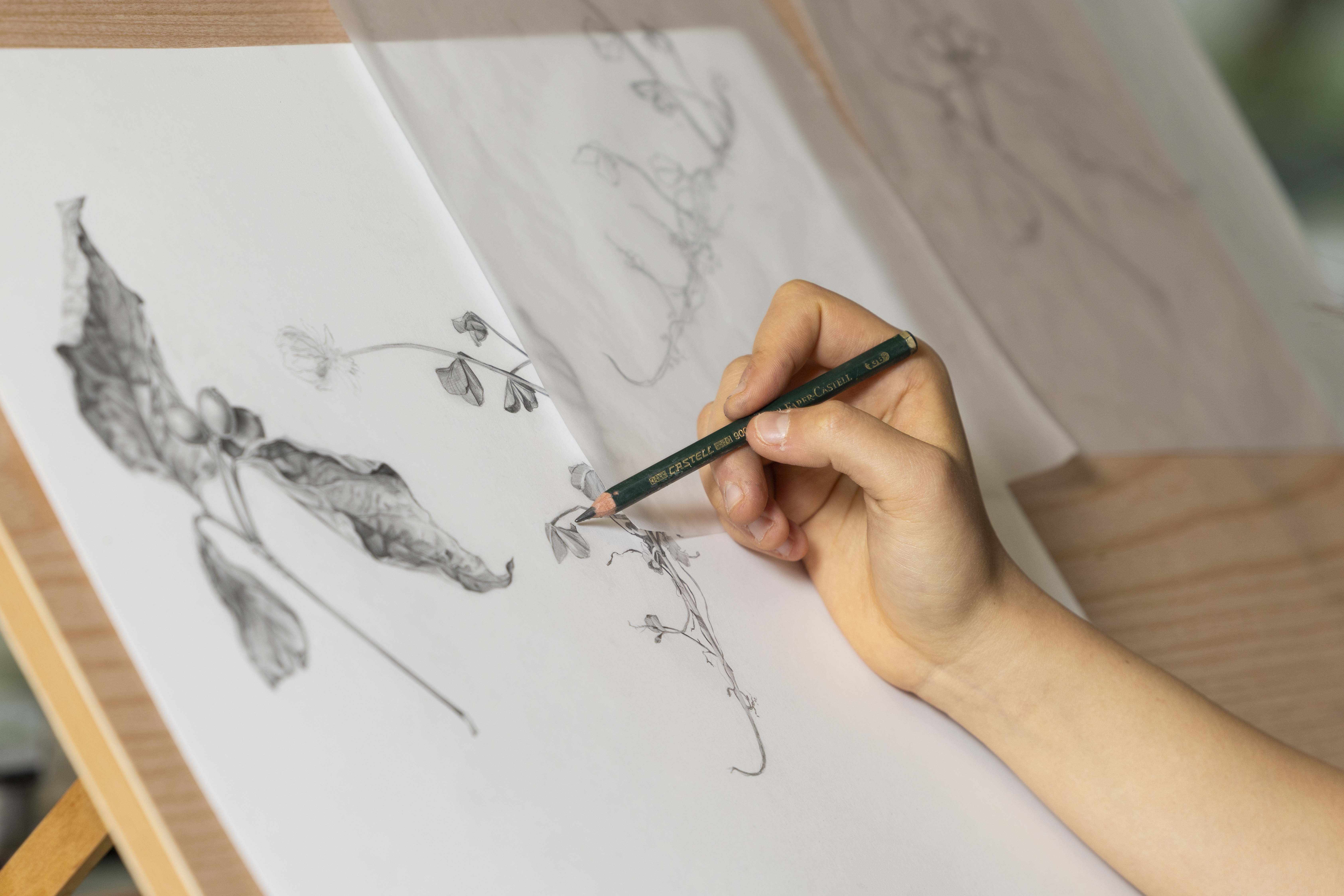 hand drawing with pencil 