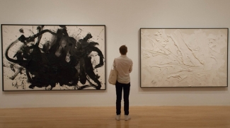 photo of person in gallery between two large partings