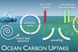 carbon ocean cycle diagram
