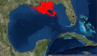 satellite photo of Gulf of Mexico, with red spill outline
