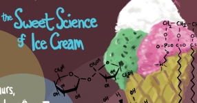 ice cream graphic