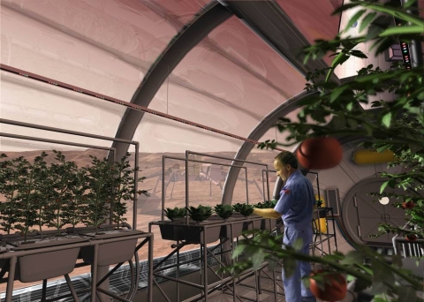 Newswise: Geologists simulate soil conditions to help grow plants on Mars