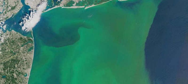 algae bloom photo from space