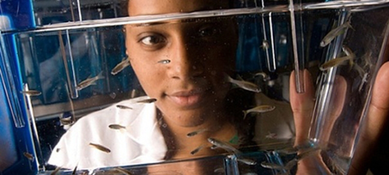woman in lab with fish tank
