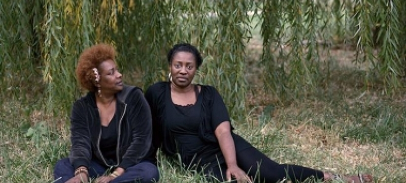 two women sitting beneath a tree