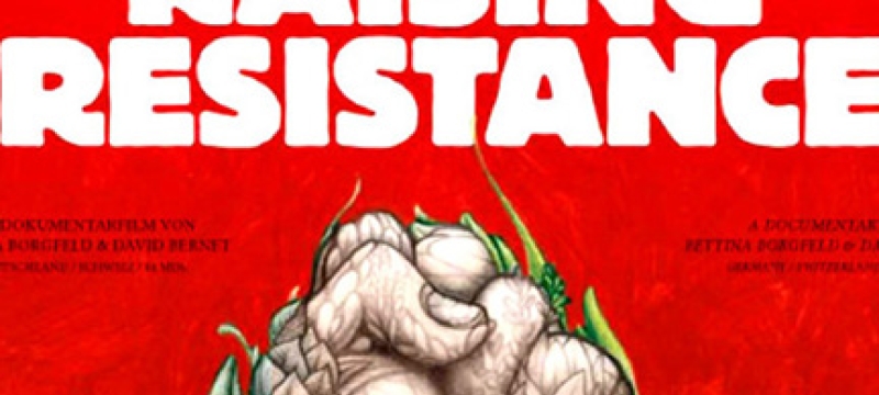 graphic on red, with plant fist