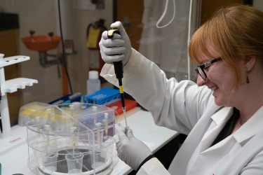 photo of woman with pipette and white coat