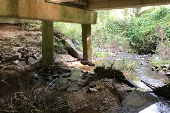 photo of bridge support and water