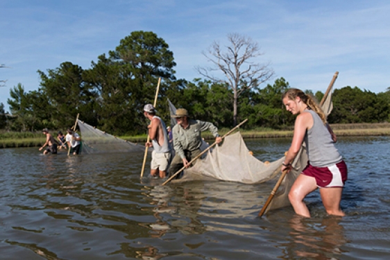 photo of people in a river with nets