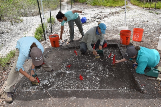 photo of four people on archeological dig, with trowels, brushes and buckets