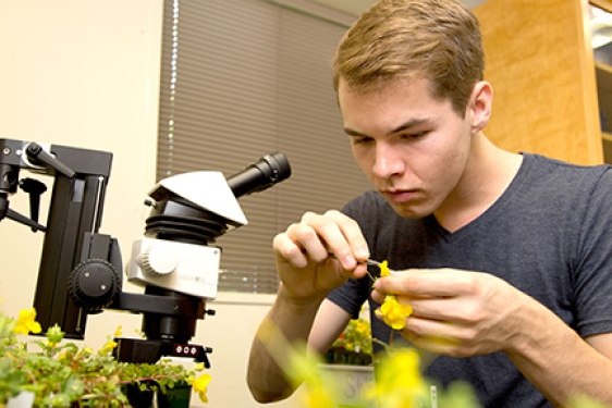 man with yellow flower and microscope