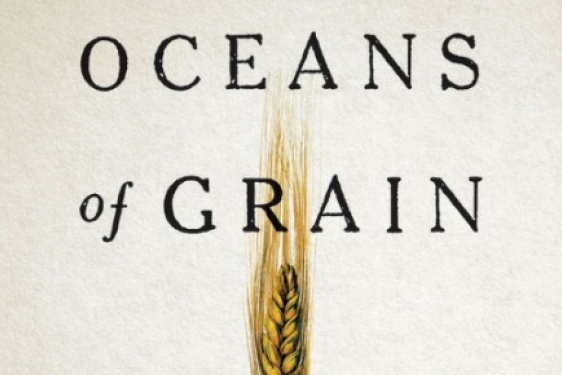 book cover graphic with text and spike of wheat