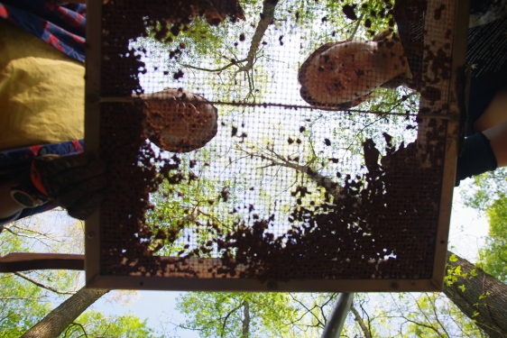 photo of two people through screening sift, from below.