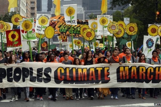 protest with sign, flowers