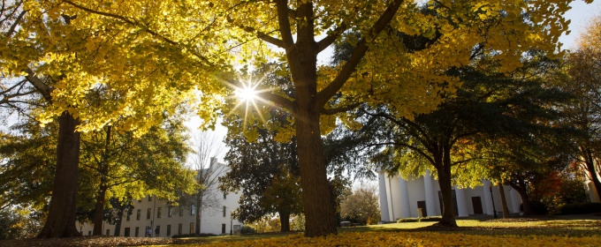 photo of quad in fall with trees, yellow leaves, buildings
