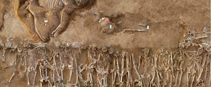 photo of ground with uncovered skeletons of humans and horse