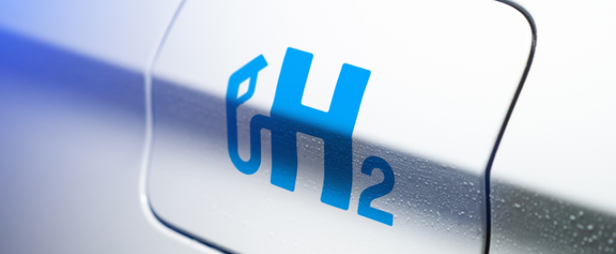 photo of fuel tank cap/door, with blue letter and number