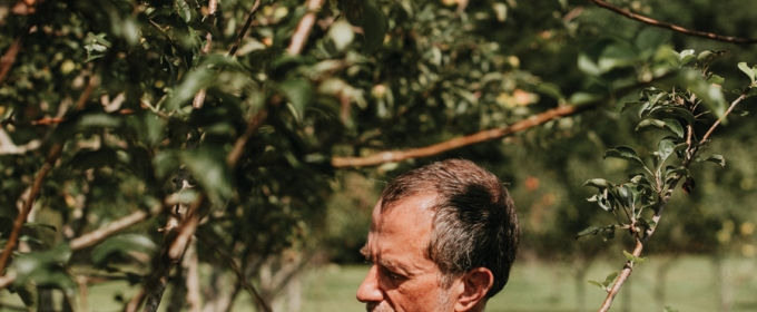 photo of man with apple tree, day