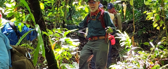 photo of man walking in jungle, day