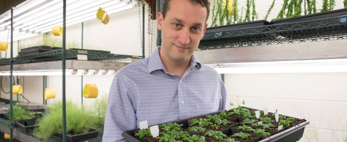 photo of man with case of small plants