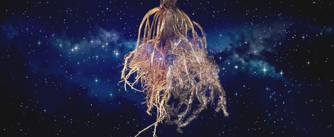 3-d-graphic rendering of root system on space background